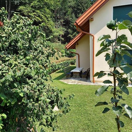 Ferienhaus Manuela Velden am Wörthersee Exteriér fotografie