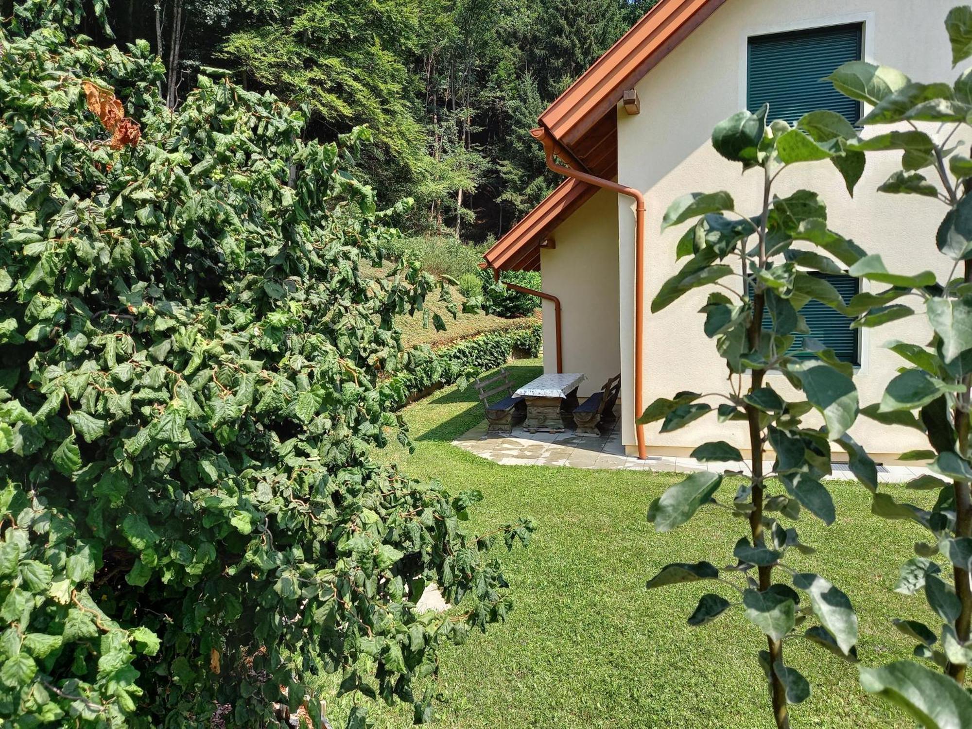 Ferienhaus Manuela Velden am Wörthersee Exteriér fotografie